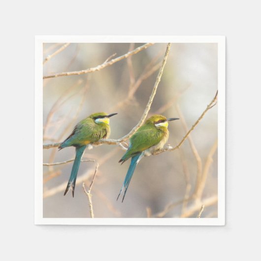 Zwei Bienenfresser Serviette (Vorderseite)