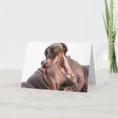 Zwei Big Mouth Hippo Karten (Vorderseite)