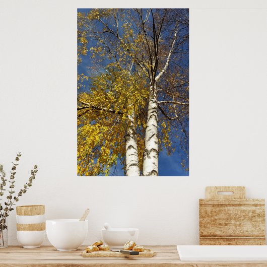 zwei Birken Poster (Küche)