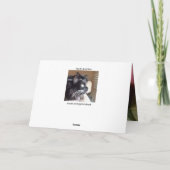 Zwei Black Cats Grußkarten Karte (Rückseite)