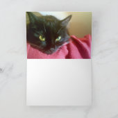 Zwei Black Cats Grußkarten Karte (Innenseite)