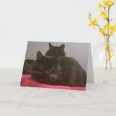 Zwei Black Cats Grußkarten Karte (Gelbe Blume)