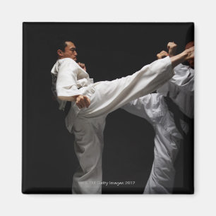 Zwei Blackbelt Sparring Magnet