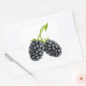 Zwei BlackBerry auf langen Stangen Quadratischer Aufkleber (Umschlag)