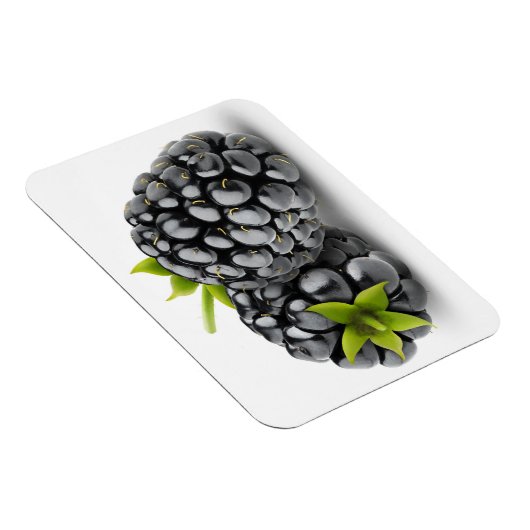 Zwei BlackBerry Magnet (Rechte Seite)