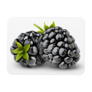 Zwei BlackBerry Magnet