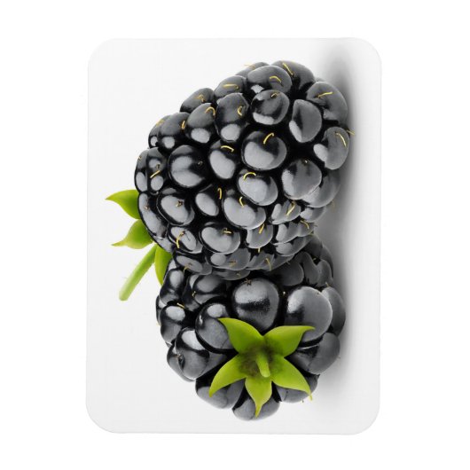 Zwei BlackBerry Magnet (Vertikal)