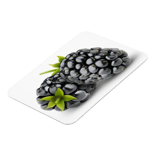 Zwei BlackBerry Magnet (Linke Seite)