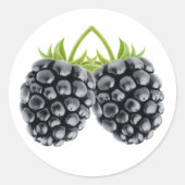 Zwei BlackBerry Runder Aufkleber (Vorderseite)