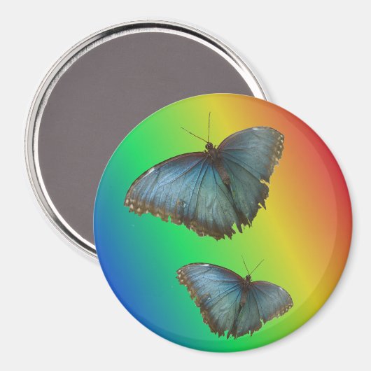 Zwei blaue Morpho-Schmetterlinge Regenbogen-Magnet Magnet (Vorderseite/Rückseite)