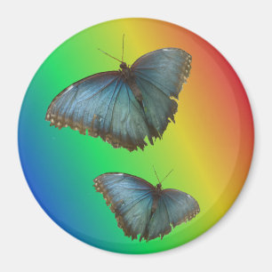Zwei blaue Morpho-Schmetterlinge Regenbogen-Magnet Magnet