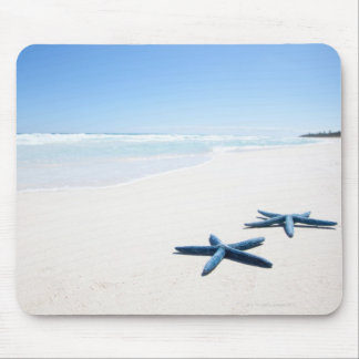 Zwei blaue Seesterne am Rande des Wassers auf trop Mousepad