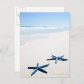 Zwei blaue Seesterne am Rande des Wassers auf trop Postkarte (Vorne/Hinten)