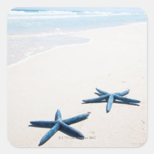 Zwei blaue Starfish am Rand des Wassers auf Quadratischer Aufkleber