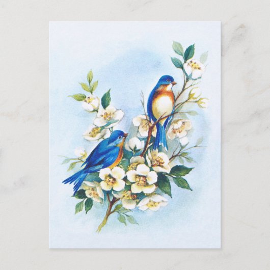 Zwei Blaue Vögel Postkarte (Vorderseite)