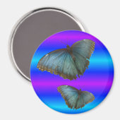 Zwei Blue Morpho Butterflies Blue Neon Magnet (Vorderseite/Rückseite)