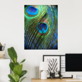 Zwei Blue Peacock Feathers Poster (Heimbüro)