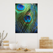Zwei Blue Peacock Feathers Poster (Küche)