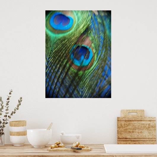 Zwei Blue Peacock Feathers Poster (Küche)