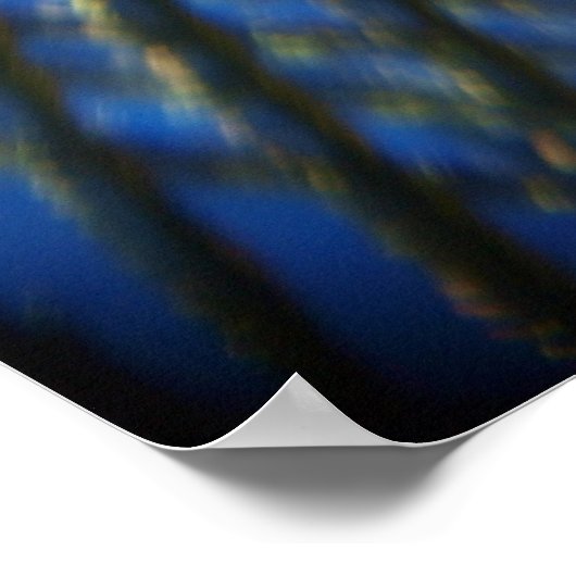 Zwei Blue Peacock Feathers Poster (Ecke)