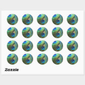 Zwei Blue Peacock Feathers Stickers (Blatt)