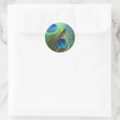 Zwei Blue Peacock Feathers Stickers (Tasche)