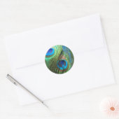 Zwei Blue Peacock Feathers Stickers (Umschlag)