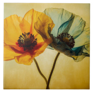 Zwei Blume Fliese