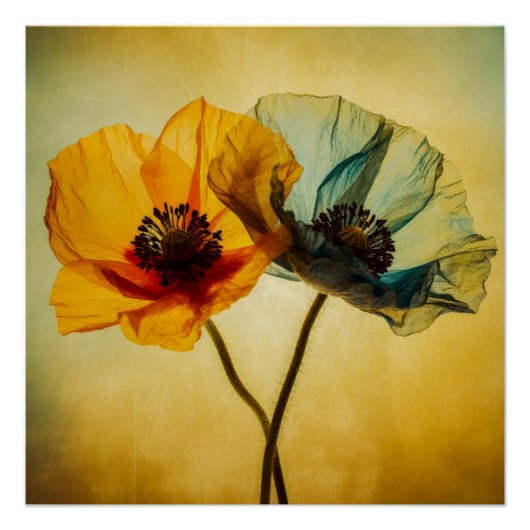 Zwei Blume Poster (Vorderseite)