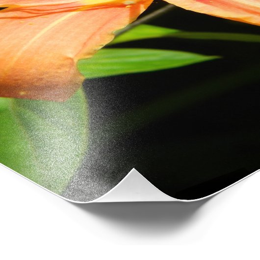 Zwei Blumen Fotodruck (Ecke)