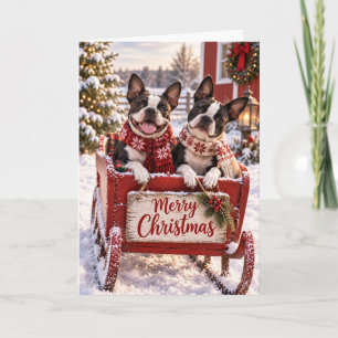 Zwei Boston Terrier Weihnachtskarte Karte