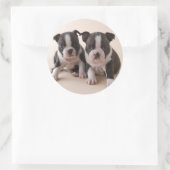 Zwei Boston Terrier Welpen Runder Aufkleber (Tasche)