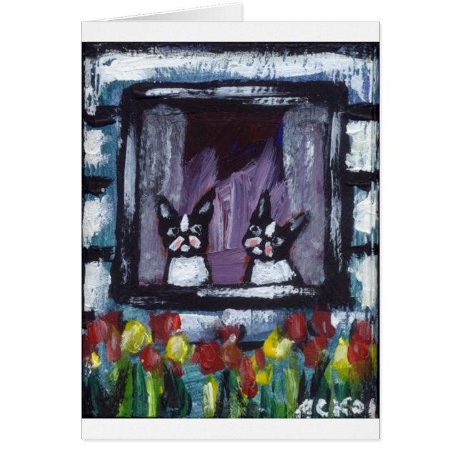 zwei bostons im Fenster (Vorne)