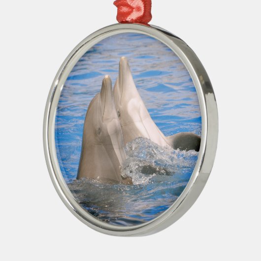Zwei Bottlenose-Delphine Ornament Aus Metall (Links)
