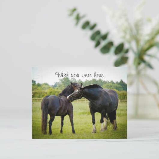 Zwei braune Pferde Postkarte (Stehend Vorderseite)