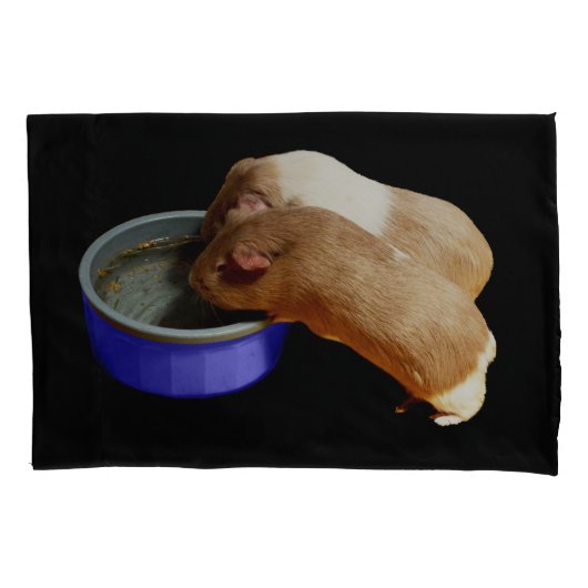 zwei braune und weiße Guinea, Kissenbezug (Vorderseite)