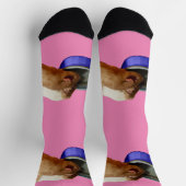 Zwei braune und weiße Guinea trinkende Schweine, S Socken (Oben)