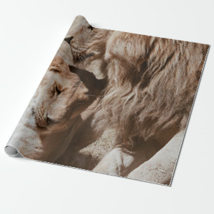 ZWEI BROWLLIG AUF GRÜNEM FELD GESCHENKPAPIER