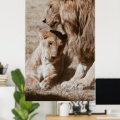 ZWEI BROWLLIG AUF GRÜNEM FELD POSTER (Heimbüro)