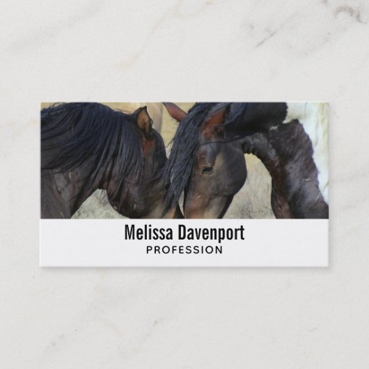 Zwei Brown Wild Horses Nuzzling Business Card Visitenkarte (Vorderseite)