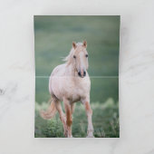 Zwei Brüder treffen sich - Grußkarte Wildes Pferd Karte (Innenseite)