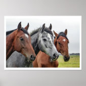 Zwei Buchten und ein Grau, Drei Pferde in einer Re Poster (Vorne)