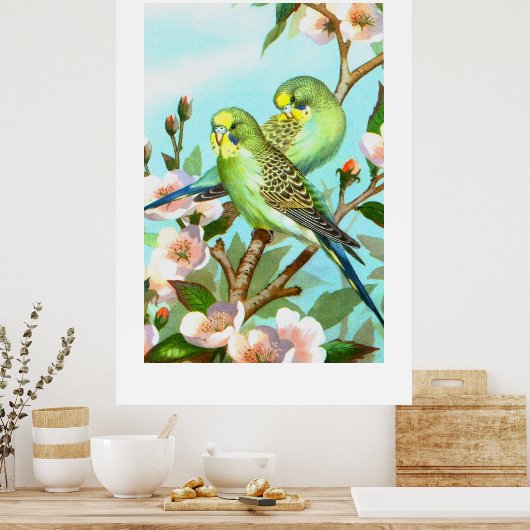 Zwei Budgerigis Poster (Küche)