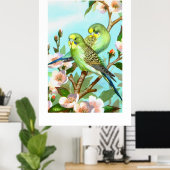 Zwei Budgerigis Poster (Heimbüro)