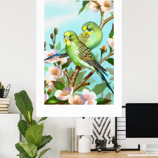 Zwei Budgerigis Poster (Heimbüro)