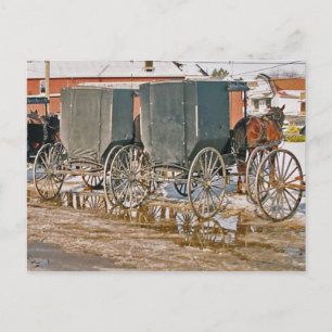Zwei Buggyen Puddle Postkarte