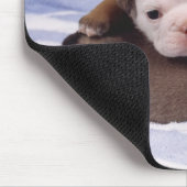 Zwei Bulldohwelpen auf Handtuch Mousepad (Ecke)