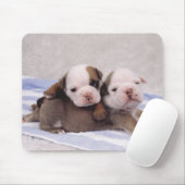 Zwei Bulldohwelpen auf Handtuch Mousepad (Mit Mouse)