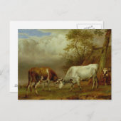 Zwei Bullen mit verstopften Hörnern, 1653 Postkarte (Vorne/Hinten)