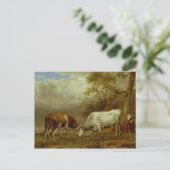 Zwei Bullen mit verstopften Hörnern, 1653 Postkarte (Stehend Vorderseite)